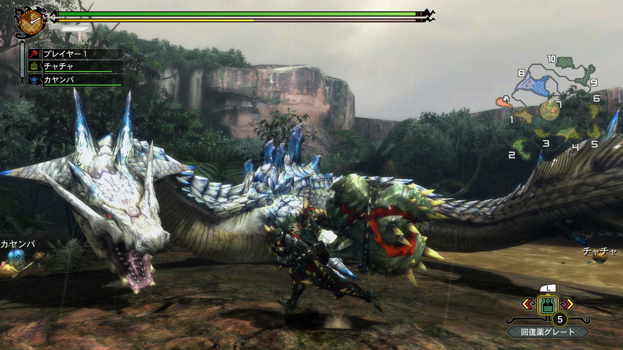 A screenshot from Monster Hunter 3 Ultimate